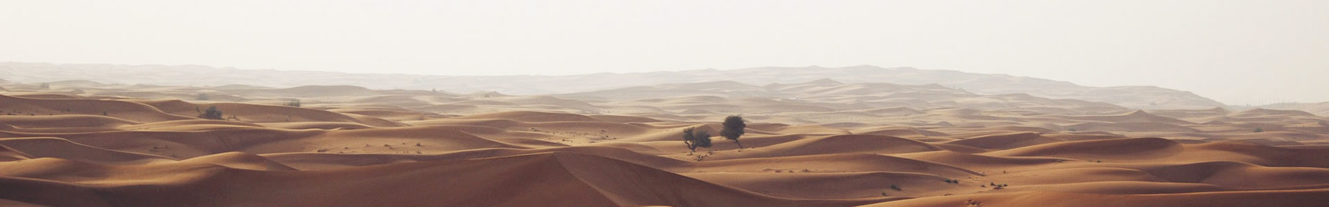 ӭܷ޹˾